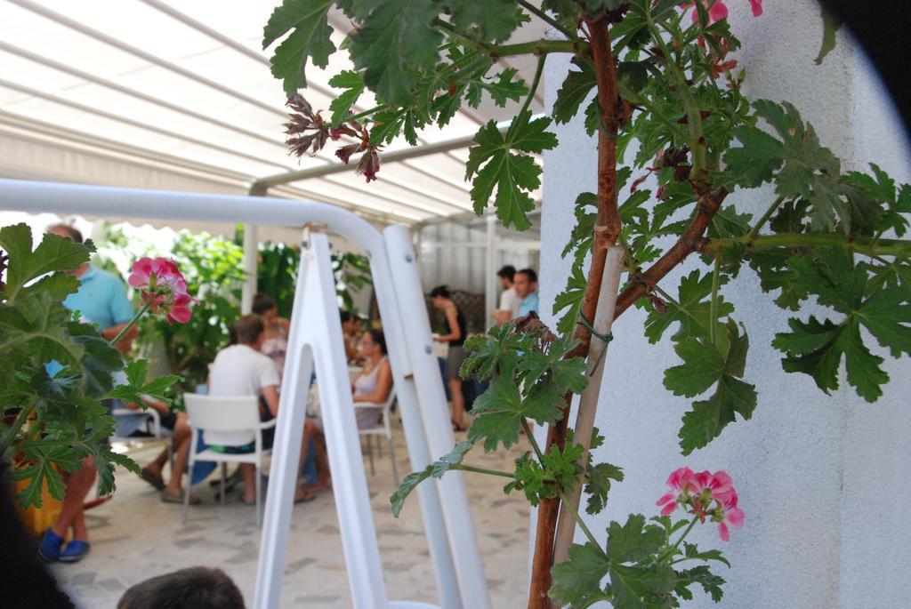Hotel Cristall
